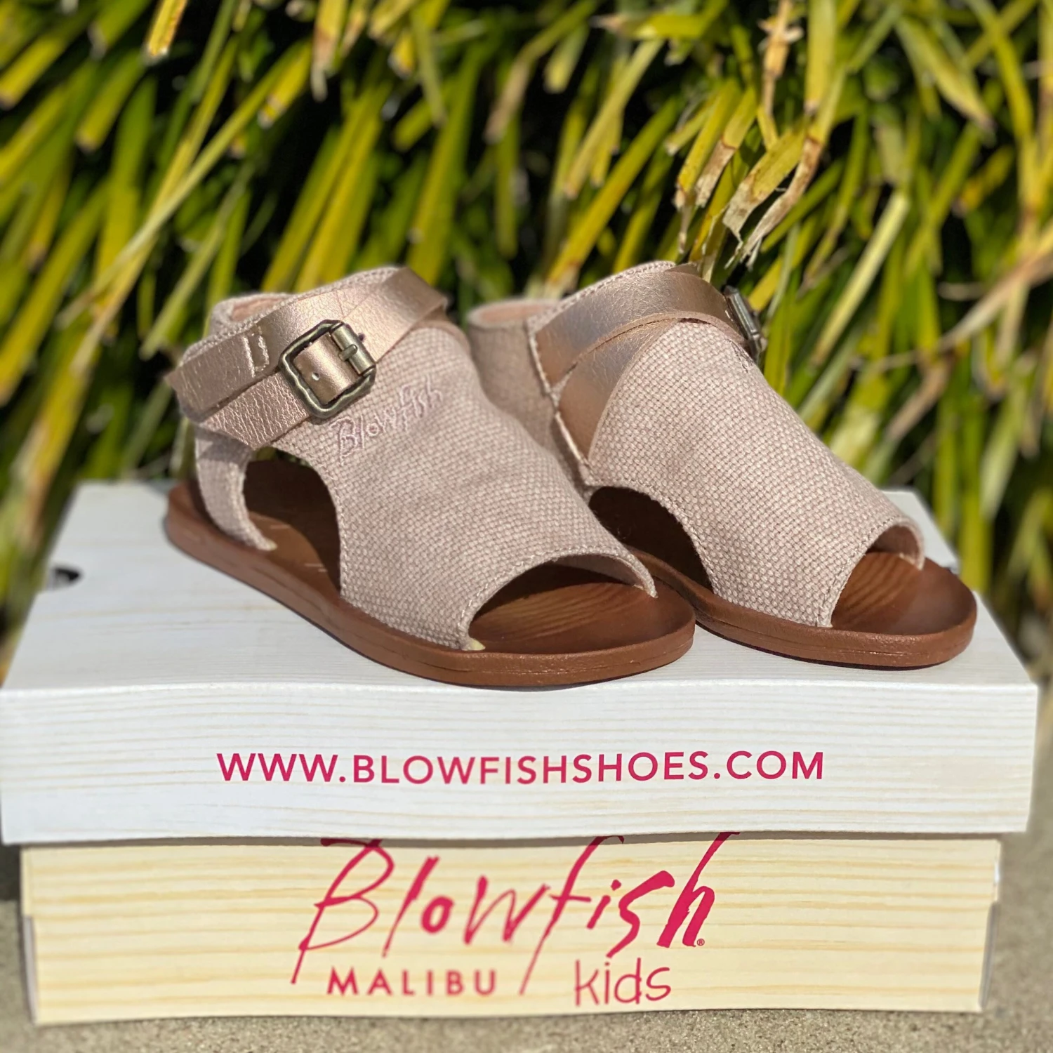 Blowfish Blush & Rose Gold Toddler Sandal 3 Blowfish Blush & Rose Gold Toddler Sandal